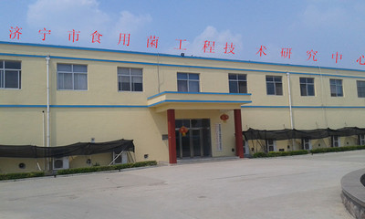軟件科技領(lǐng)域內(nèi)的技術(shù)開(kāi)發(fā) 創(chuàng)新驅(qū)動(dòng)，賦能未來(lái)